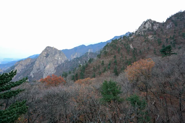 Seoraksan εθνικό πάρκο — Φωτογραφία Αρχείου
