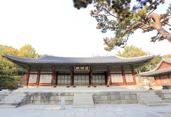 Changdeokgung Pałac — Zdjęcie stockowe