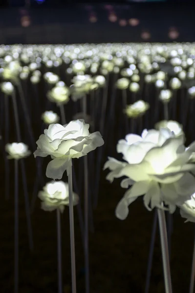 LED Çiçek Bahçesi