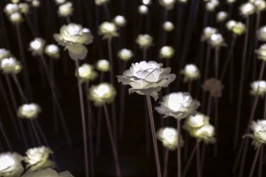 LED Çiçek Bahçesi