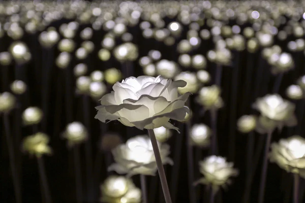 LED Çiçek Bahçesi