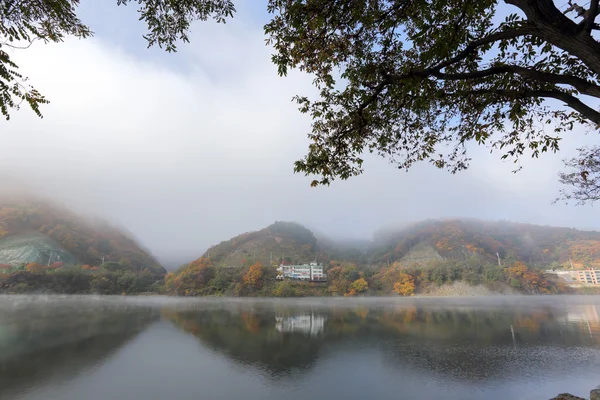 Namiseom île en automne — Photo