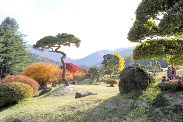 The Garden of Morning Calm — Stock Photo, Image