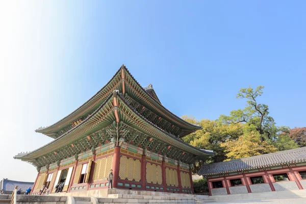 Palazzo Changdeokgung — Foto Stock