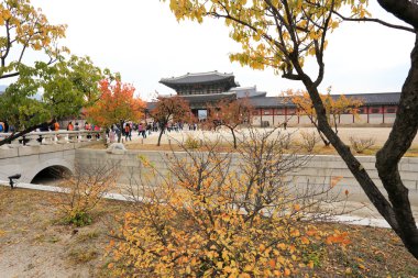 Gyeongbokgung Sarayı