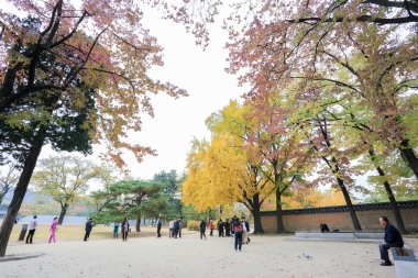 Gyeongbokgung Sarayı