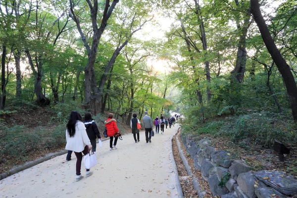 Palais de Changdeokgung — Photo