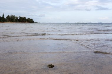 Fosil deniz kabuğu Plajı