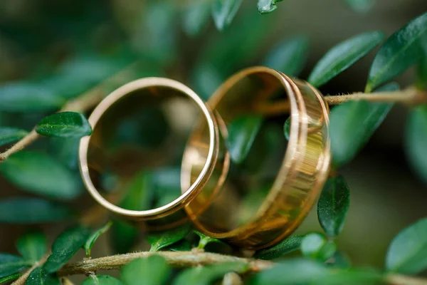 Goldene Trauringe Für Brautpaare Hochzeitstag — Stockfoto