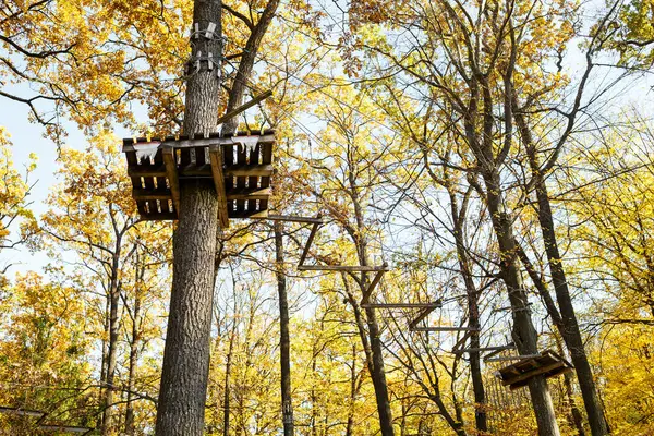 Ormana Dağcılar Için Park Yeri — Stok fotoğraf