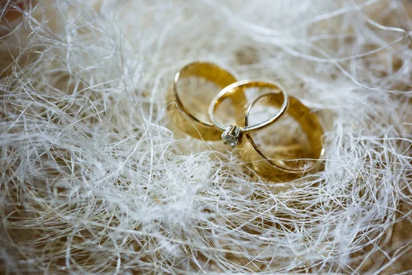 Anillos Boda Oro Para Los Recién Casados Día Boda — Foto de Stock