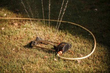 Güneşli havada yeşil çimenleri sulamak, bahçe alanıyla ilgilenmek.