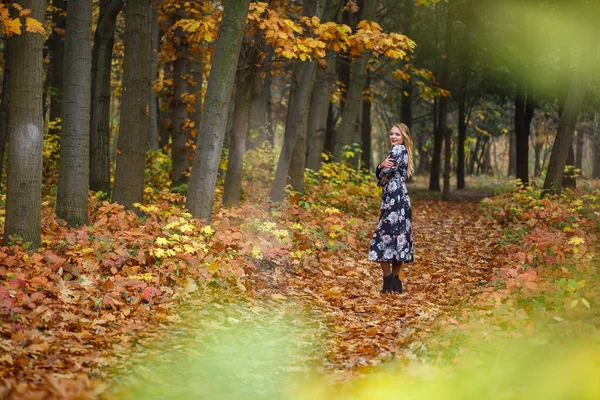秋の森の中のドレスの女の子 — ストック写真