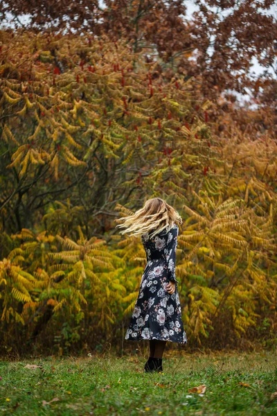 秋の森の中のドレスの女の子 — ストック写真