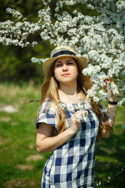 Schönes Mädchen Einem Kleid Das Frühlingswald Spaziert Die Bäume Blühen — Stockfoto