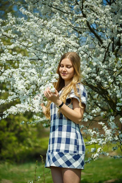 Hermosa Chica Vestido Caminando Bosque Primavera Donde Florecen Los Árboles — Foto de Stock