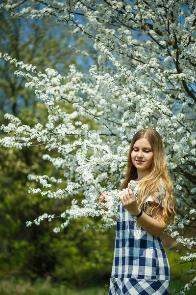 Piękna Dziewczyna Sukience Spaceru Wiosennym Lesie Gdzie Drzewa Kwitną — Zdjęcie stockowe