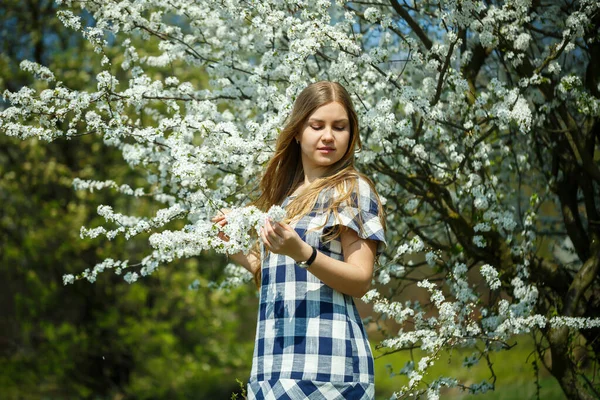 Schönes Mädchen Einem Kleid Das Frühlingswald Spaziert Die Bäume Blühen — Stockfoto