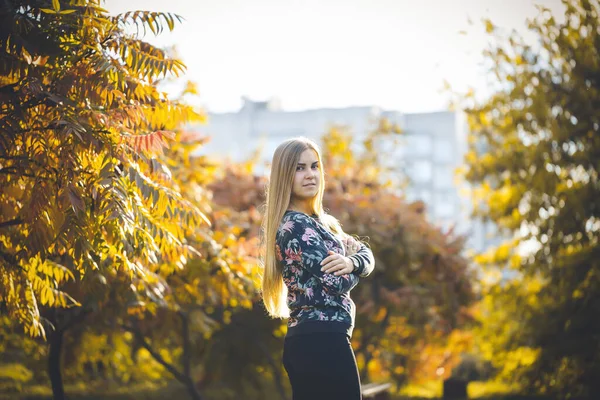 赤い葉の木の路地に女性の女の子の長い髪のブロンド 彼女は写真撮影に自信がある 秋の公園 晴れた暖かい日 — ストック写真