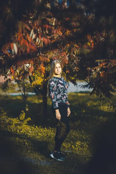 Woman Girl Long Haired Blonde Forest Trees Red Leaves She — Stock Photo, Image