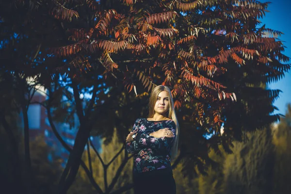 Женщина Длинноволосая Блондинка Лесу Деревьями Красными Листьями Довольна Уверенностью Фотосессии — стоковое фото