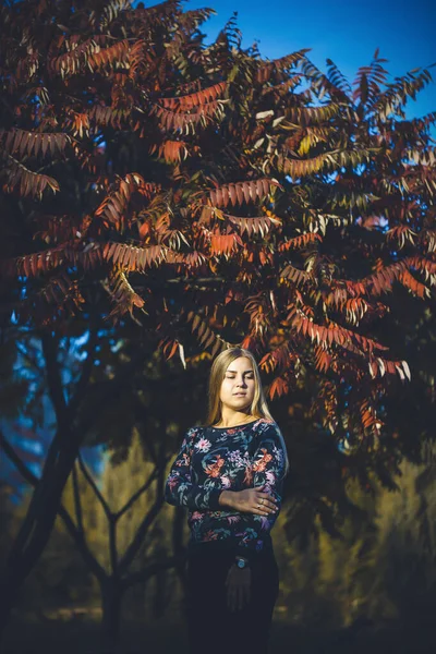 Femeie Fată Blondă Părul Lung Într Pădure Copaci Frunze Roșii — Fotografie, imagine de stoc