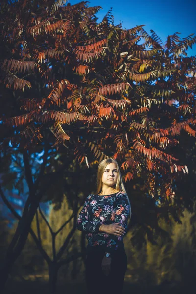 Mujer Rubia Pelo Largo Bosque Con Árboles Con Hojas Rojas — Foto de Stock