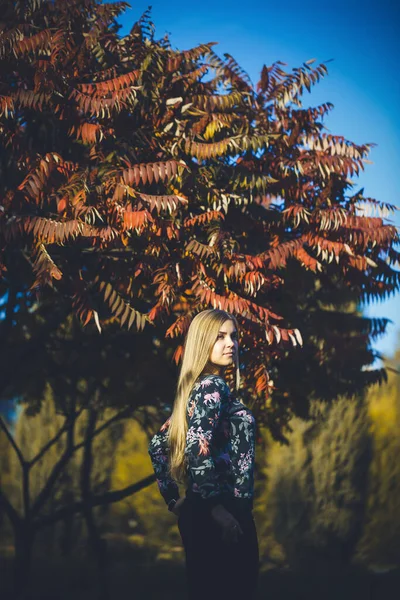 Frau Langhaarige Blondine Einem Wald Mit Bäumen Mit Roten Blättern — Stockfoto