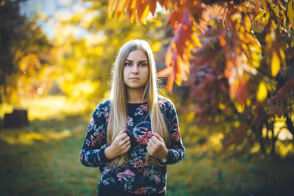 Schöne Frau Pullover Und Hose Die Der Herbstlichen Natur Mit — Stockfoto