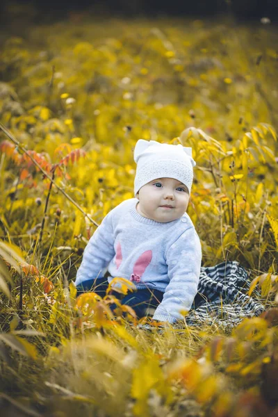 帽子とセーターの小さな笑顔の子供の女の子は落ちた葉の間の公園に座って カラフルな秋の背景に彼女の手の中に黄色の葉を保持します — ストック写真