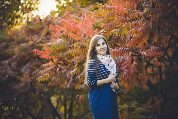 紅葉の秋の大自然の中に佇む青いドレス姿の美人 明るい若い長髪の女の子は秋に赤い黄色の葉で公園でリラックスします ロマン主義 — ストック写真