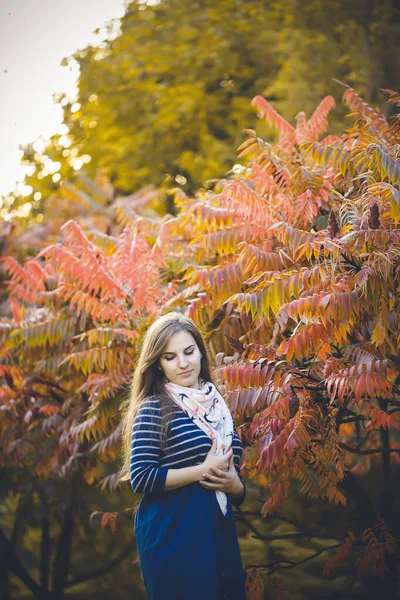 Mulher Bonita Vestido Azul Natureza Outono Com Folhas Caídas Menina — Fotografia de Stock