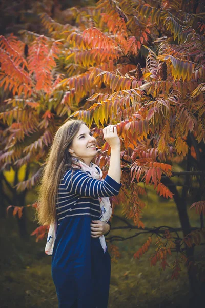 Krásná Žena Modrých Šatech Stojící Podzimní Přírodě Podzimním Listím Světlá — Stock fotografie