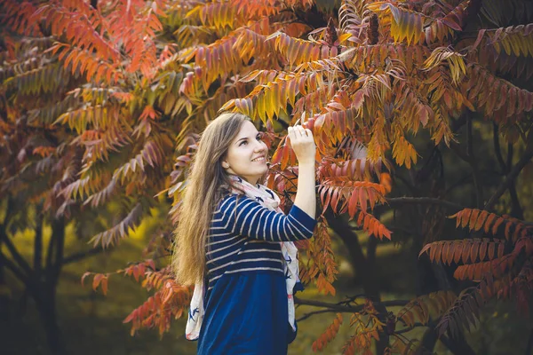드레스를 아름다운 여인이 가을에 낙엽을 있습니다 머리의 소녀는 가을에 노란색 — 스톡 사진