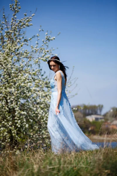 Retrato Uma Menina Macia Vestido Longo Azul Com Tule Sob — Fotografia de Stock