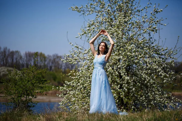 Portré Egy Érzékeny Lányról Kék Hosszú Ruhában Tüllivel Virágzó Cseresznye — Stock Fotó