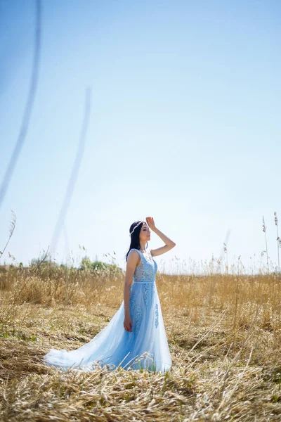 Portrait Une Fille Tendre Dans Une Robe Longue Bleue Pois — Photo