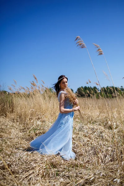 明るい夏の日に彼女の顔に笑顔で乾燥したエンドウ豆の青い長いドレスの柔らかい女の子の肖像画 — ストック写真