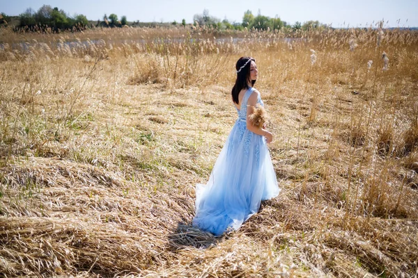 Mulher Vestido Azul Comprido Nos Juncos Retrato Moda Com Flores — Fotografia de Stock