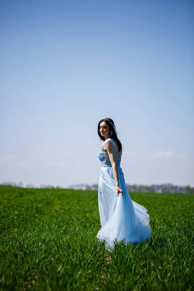 Egy Kék Hosszú Ruhában Zöld Mezőn Divatportré Egy Gyönyörű Lányról — Stock Fotó