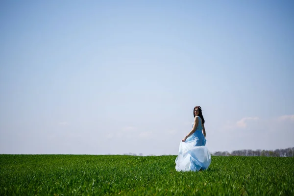 Mulher Vestido Longo Azul Fundo Campo Verde Retrato Moda Uma — Fotografia de Stock