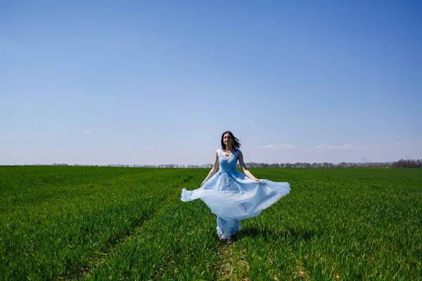 Jovem Mulher Vestido Longo Azul Fundo Campo Verde Retrato Moda — Fotografia de Stock