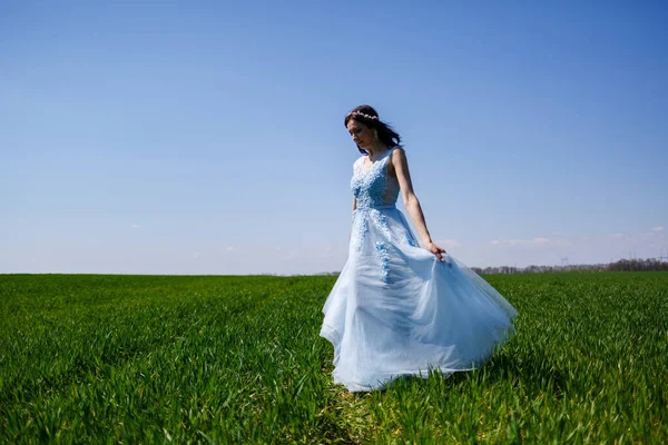 Giovane Donna Abito Lungo Blu Uno Sfondo Campo Verde Ritratto — Foto Stock