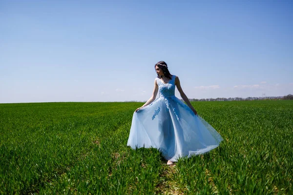 Jovem Mulher Vestido Longo Azul Fundo Campo Verde Retrato Moda — Fotografia de Stock