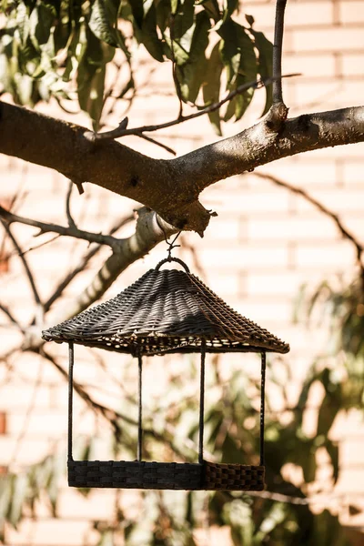 Vogelfutterhäuschen Hängt Einem Ast Mit Grünen Blättern — Stockfoto