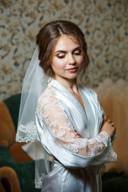 Profesyonel makyajlı bir gelinin yakın plan fotoğrafı. Beyaz önlüklü, duvak takıyor. Genç bir kadının düğün günü. Fotoğraf, saç stili, güzellik.