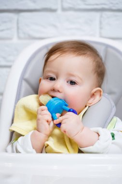 Küçük bir çocuk yüksek bir sandalyeye oturur ve ağdan meyve yer. Bebekleri beslemek için Nibbler