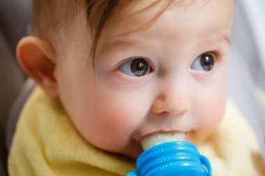 Küçük bir çocuk yüksek bir sandalyeye oturur ve ağdan meyve yer. Bebekleri beslemek için Nibbler