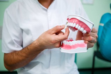 Beyaz üniformalı pozitif doktor dişçide otururken sahte çenesini dişleriyle gösteriyor.
