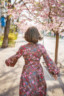 Şehrin sokaklarındaki ağaçta çiçeklerle sakura dalları. Çiçekli sakurayla sokakta dönen mutlu bir kadın. Sakura çiçekleri.